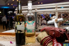 2019-Biz-X-Awards-42