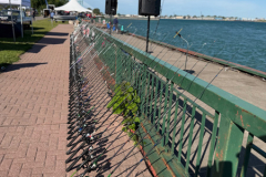 24th-Annual-ICHA-Fishing-Derby-Biz-X-magazine-13