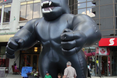 Windsor-Balloonapalooza-2011-Biz-X-magazine.-6