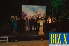 Biz X awards Gala 2017 (10)