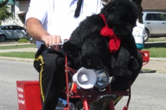 Tecumseh-Corn-Fest-Parade-2019-26
