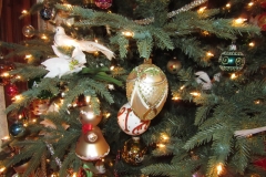 Amherstburg 2018 Holiday House Tours (19)