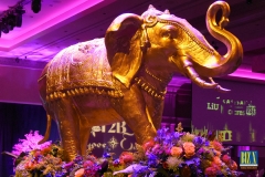 Transition-to-Betterness-Gala-2020-1