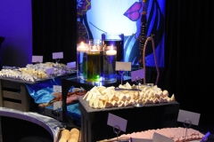 Transition-to-Betterness-Gala-2020-4