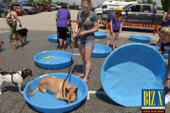 Woofa-Roo-2019-10