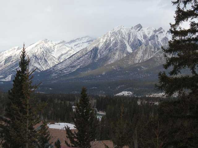 for sale 3 bedroom condo