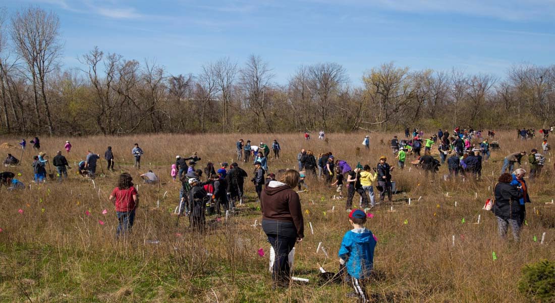Calling all Green Teams for Earth Day Tree Planting 2017