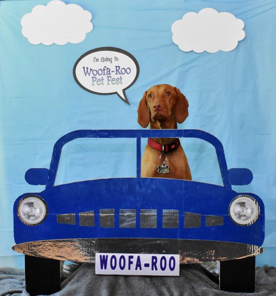 2017 Woofa Roo Pet Fest