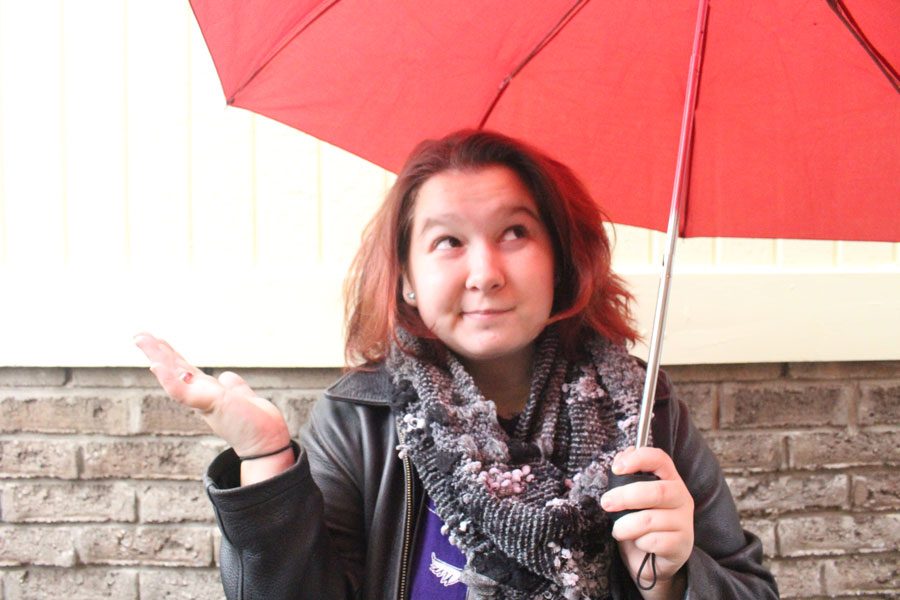 Windsor Weather Matters