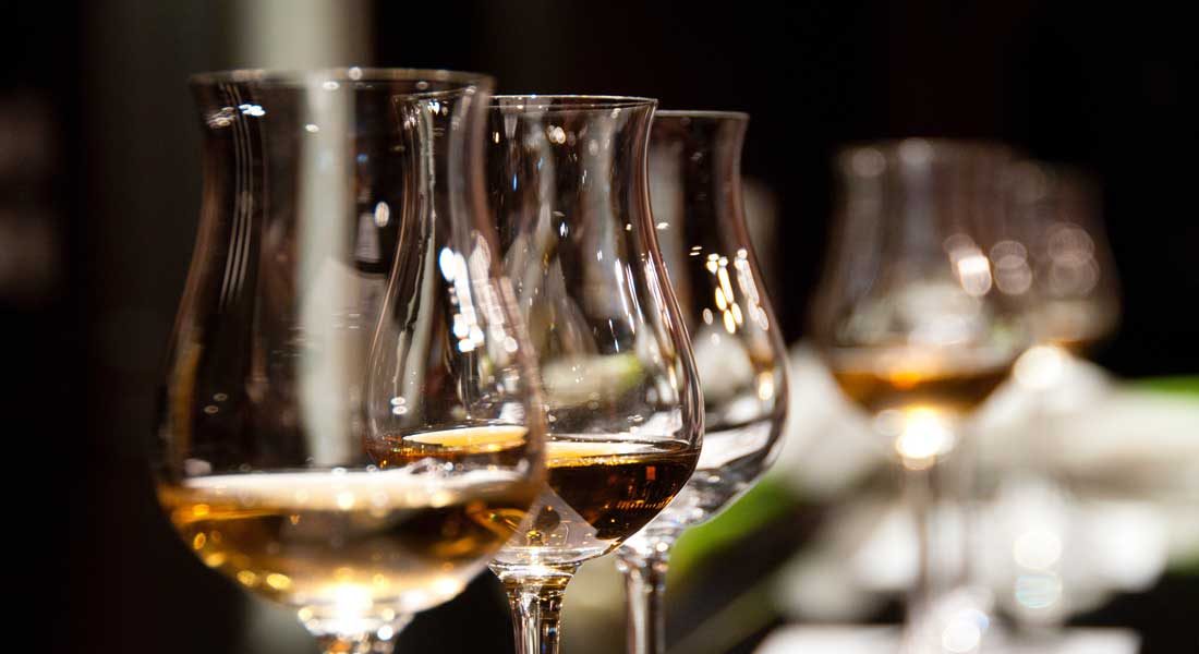 Savour the Wine tour