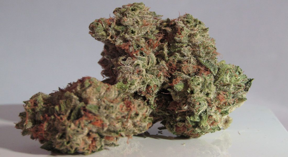 Cannabis Retail Licensing