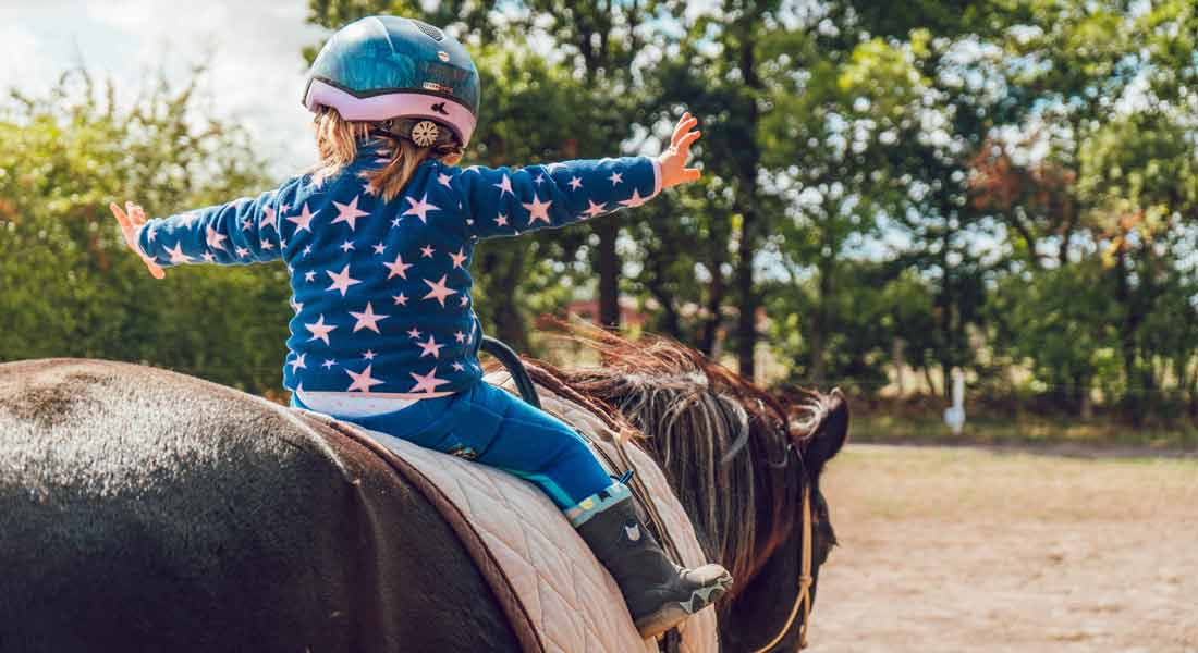 Horse Businesses