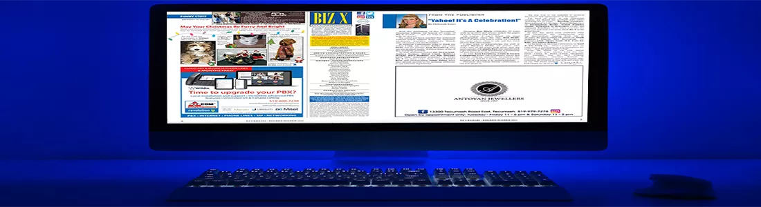 Biz X magazine newsletter subscription
