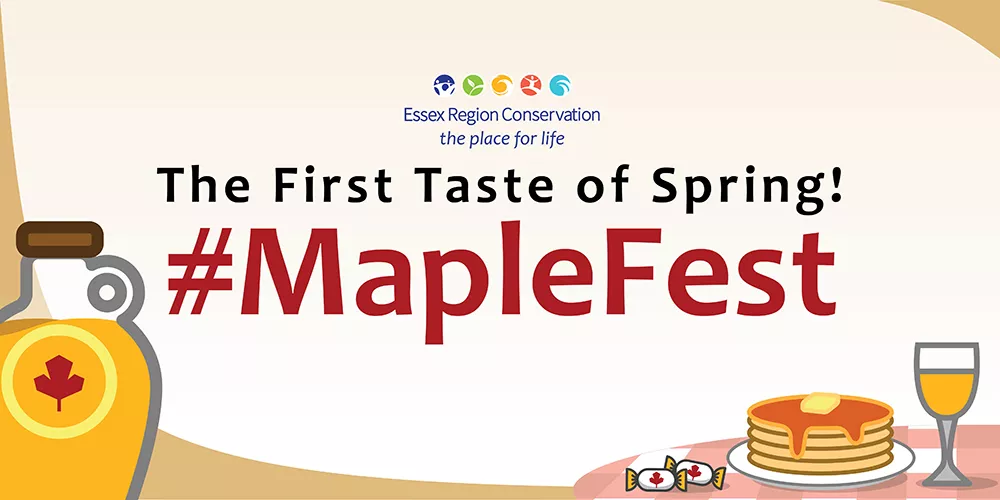 Maple Syrup Festival March 2024