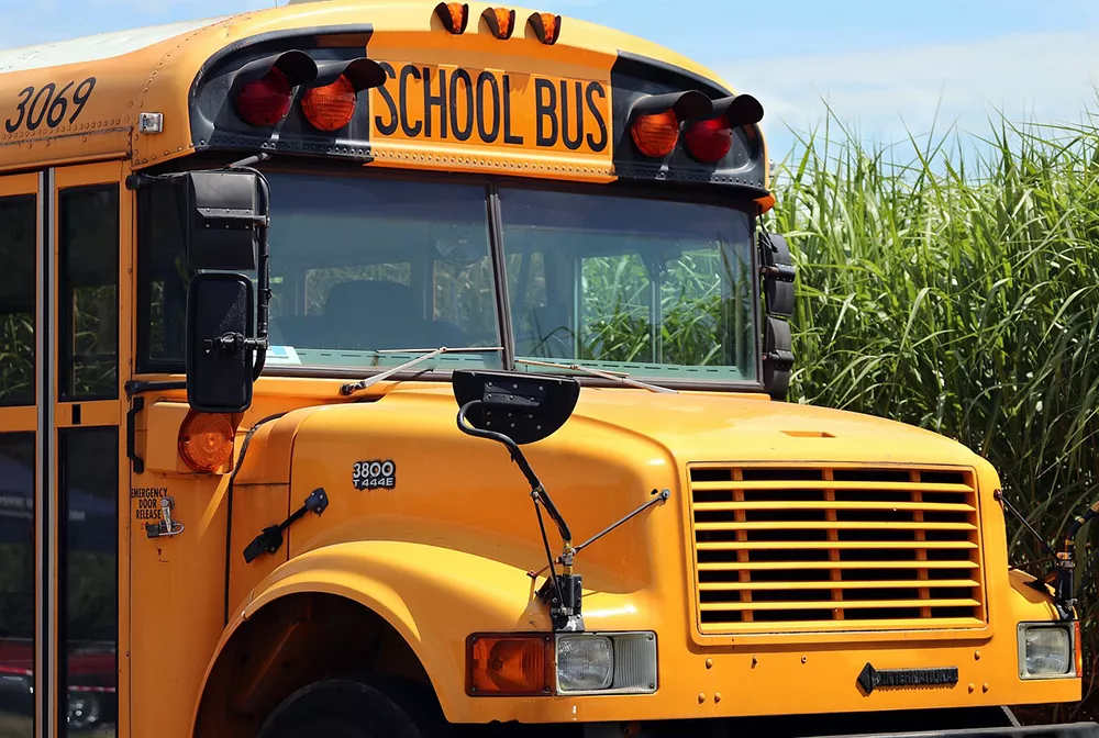 School Bus - Biz X magazine