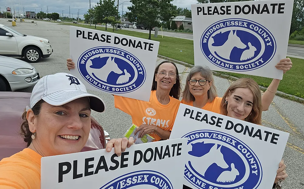 Humane Society Strays of the Streetcorners Fundraiser - Biz X magazine