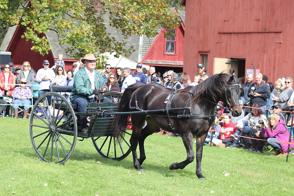 Harvest and Horses Festival - Biz X magazine