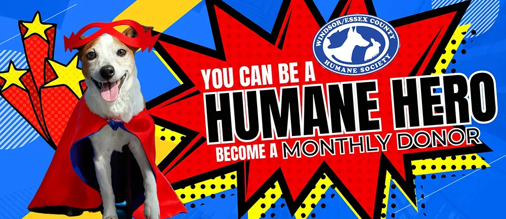 Windsor-Essex Humane Society