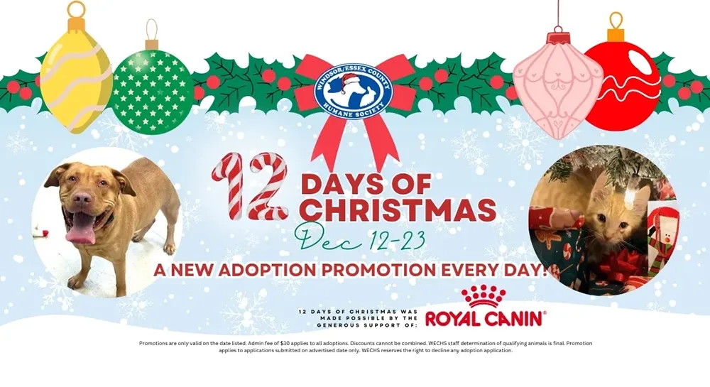 Windsor Humane Society Adoption Promotion - Biz X magazine