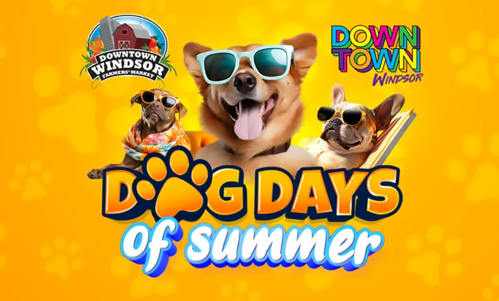 Dog Days of Summer in Downtown Windsor - Biz X magazine